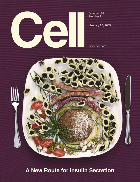 Cell cover, A New Route for Insulin Secretion